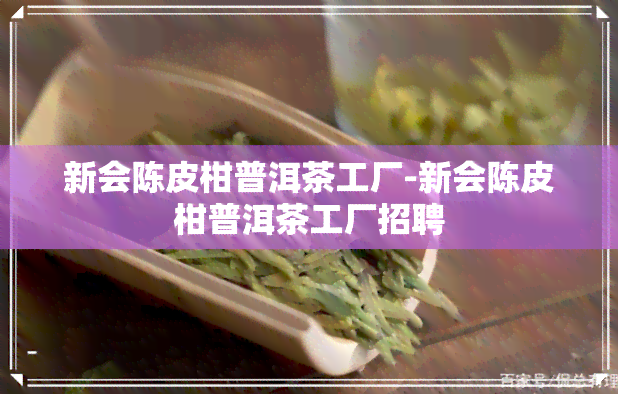 新会陈皮柑普洱茶工厂-新会陈皮柑普洱茶工厂招聘