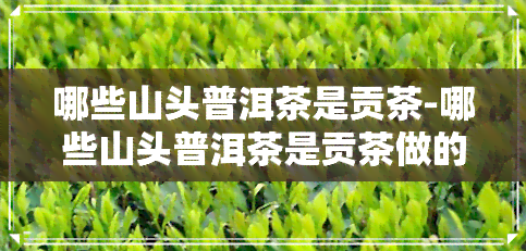 哪些山头普洱茶是贡茶-哪些山头普洱茶是贡茶做的