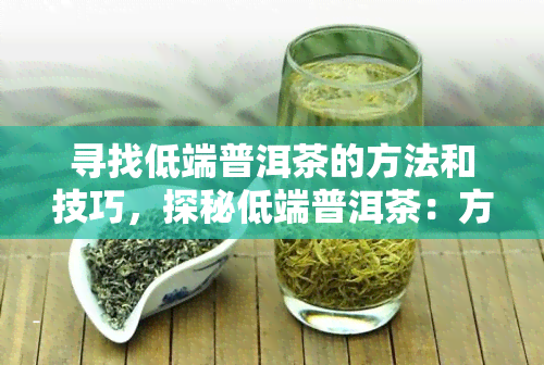 寻找低端普洱茶的方法和技巧，探秘低端普洱茶：方法与技巧全解析