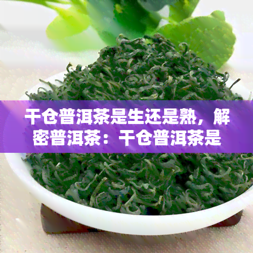 干仓普洱茶是生还是熟，解密普洱茶：干仓普洱茶是生茶还是熟茶？