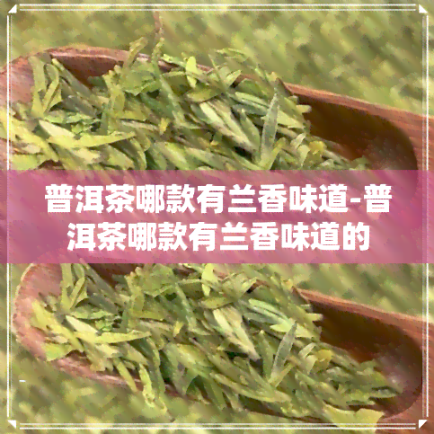 普洱茶哪款有兰香味道-普洱茶哪款有兰香味道的