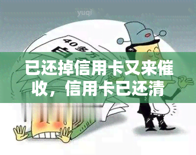 已还掉信用卡又来，信用卡已还清却仍遭，怎么办？