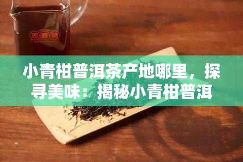 小青柑普洱茶产地哪里，探寻美味：揭秘小青柑普洱茶的产地