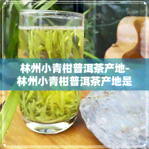 林州小青柑普洱茶产地-林州小青柑普洱茶产地是哪里