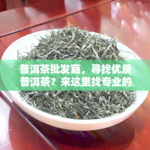 普洱茶批发商，寻找优质普洱茶？来这里找专业的批发商！