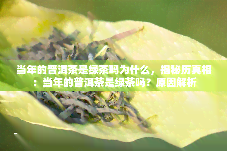 当年的普洱茶是绿茶吗为什么，揭秘历真相：当年的普洱茶是绿茶吗？原因解析