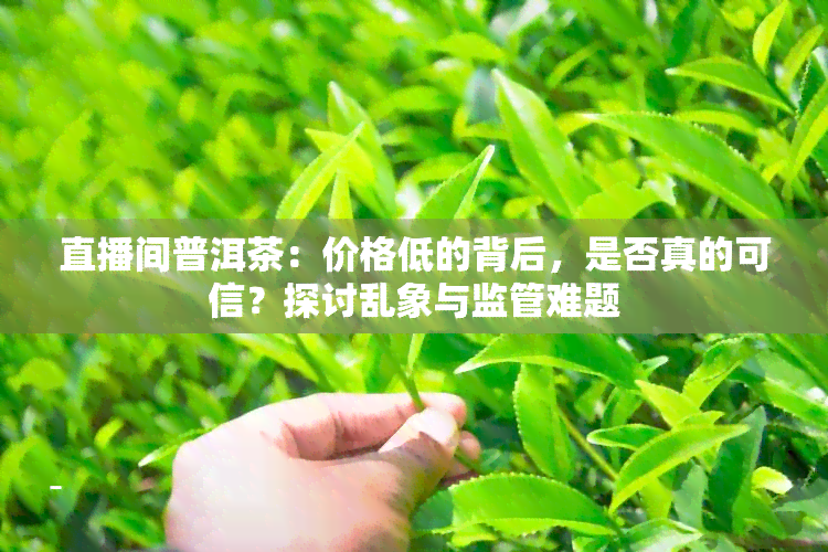 直播间普洱茶：价格低的背后，是否真的可信？探讨乱象与监管难题