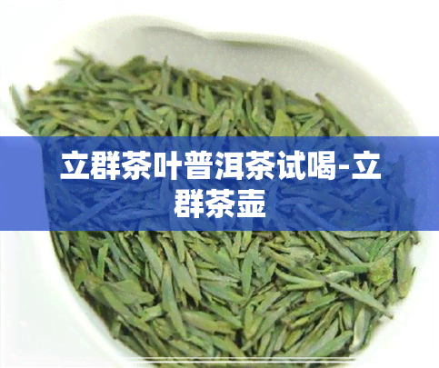 立群茶叶普洱茶试喝-立群茶壶