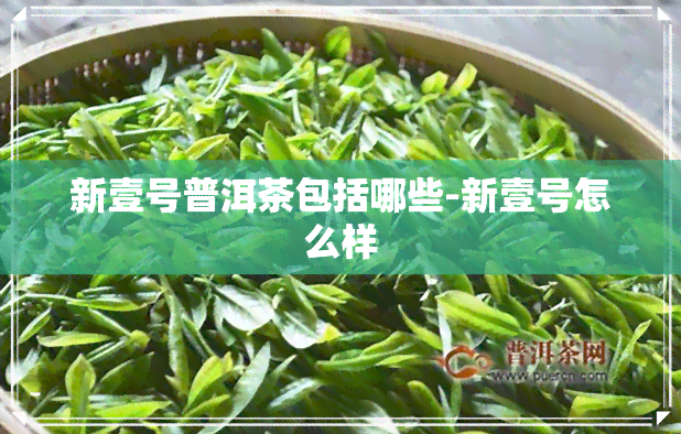 新壹号普洱茶包括哪些-新壹号怎么样