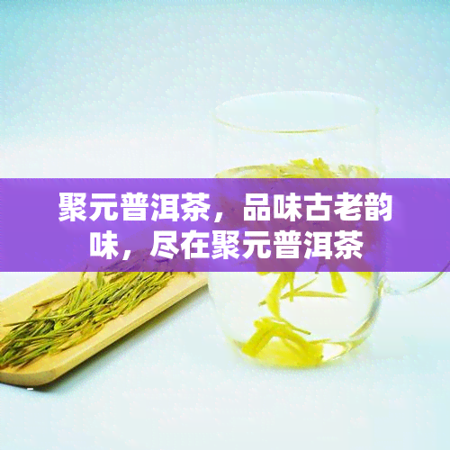 聚元普洱茶，品味古老韵味，尽在聚元普洱茶