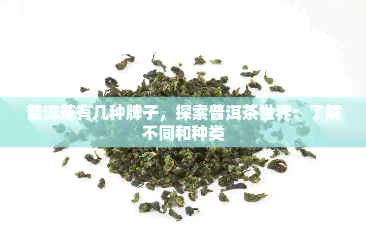 普洱茶有几种牌子，探索普洱茶世界：了解不同和种类