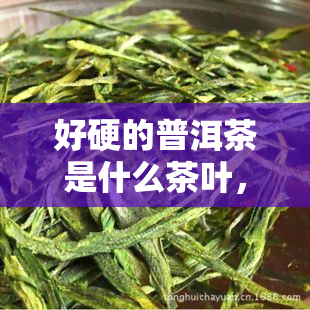 好硬的普洱茶是什么茶叶，解惑：什么是好硬的普洱茶？