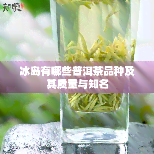 冰岛有哪些普洱茶品种及其质量与知名