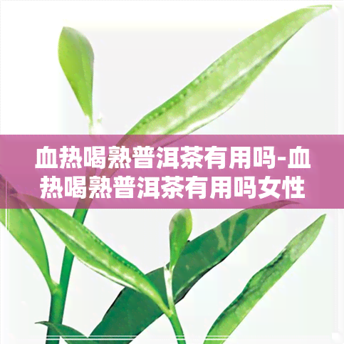 血热喝熟普洱茶有用吗-血热喝熟普洱茶有用吗女性