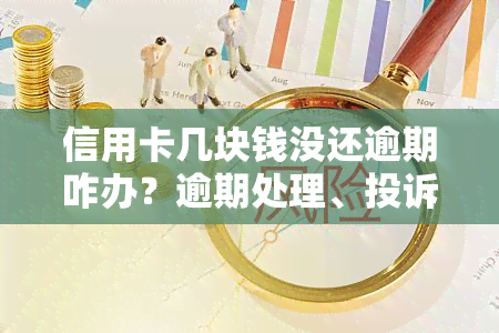 信用卡几块钱没还逾期咋办？逾期处理、投诉方法全解析！