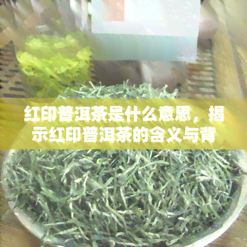 红印普洱茶是什么意思，揭示红印普洱茶的含义与背后故事