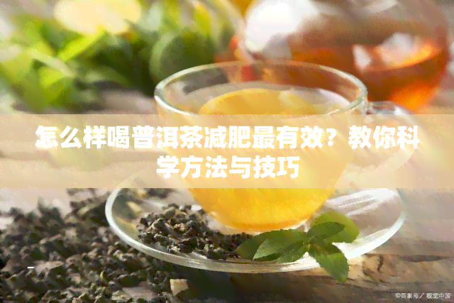 怎么样喝普洱茶减肥最有效？教你科学方法与技巧