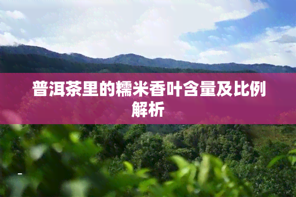 普洱茶里的糯米香叶含量及比例解析