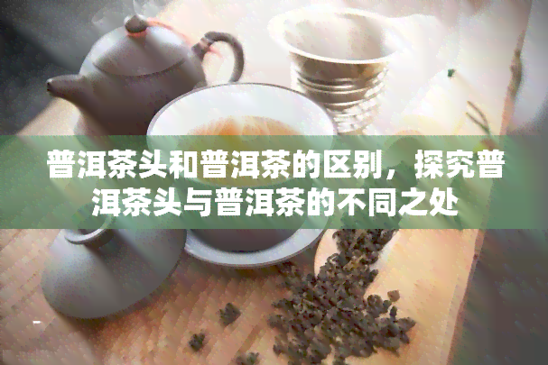 普洱茶头和普洱茶的区别，探究普洱茶头与普洱茶的不同之处