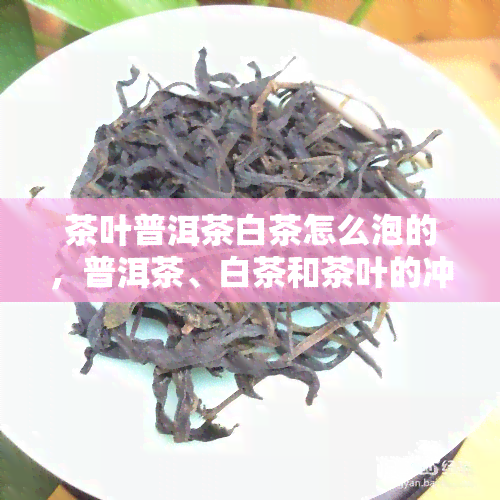 茶叶普洱茶白茶怎么泡的，普洱茶、白茶和茶叶的冲泡方法详解