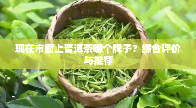 现在市面上普洱茶哪个牌子？综合评价与推荐