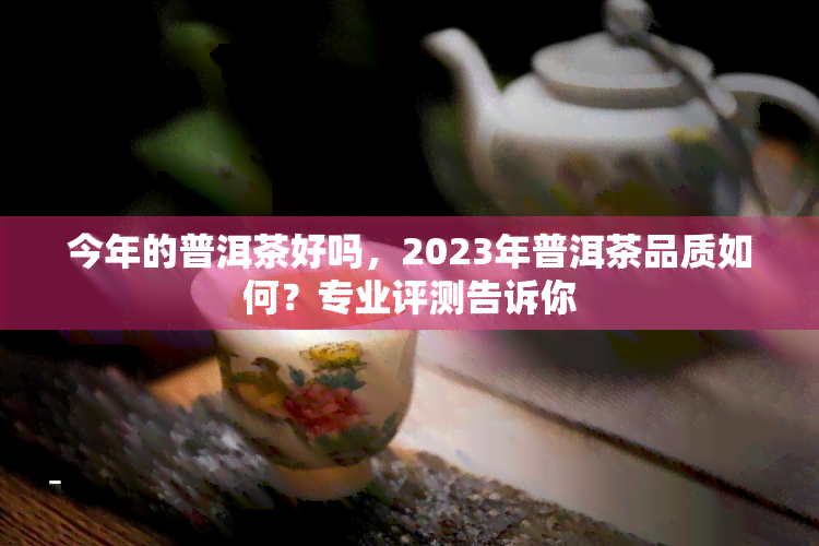 今年的普洱茶好吗，2023年普洱茶品质如何？专业评测告诉你