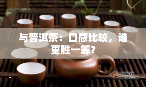 与普洱茶：口感比较，谁更胜一筹？