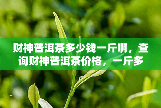 财神普洱茶多少钱一斤啊，查询财神普洱茶价格，一斤多少钱？