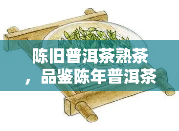 陈旧普洱茶熟茶，品鉴陈年普洱茶熟茶：独特的口感与历沉淀