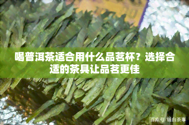 喝普洱茶适合用什么品茗杯？选择合适的茶具让品茗更佳