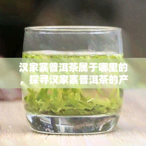 汉家寨普洱茶属于哪里的，探寻汉家寨普洱茶的产地之谜