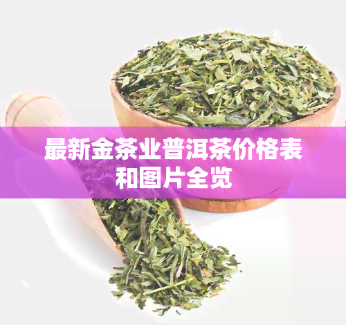 最新金茶业普洱茶价格表和图片全览