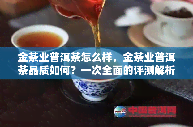 金茶业普洱茶怎么样，金茶业普洱茶品质如何？一次全面的评测解析