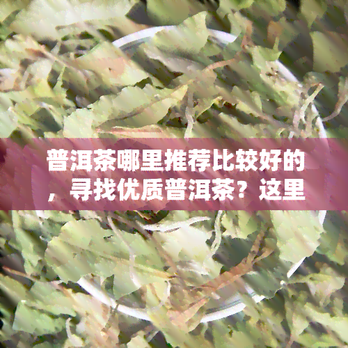 普洱茶哪里推荐比较好的，寻找优质普洱茶？这里为您推荐购买地点！