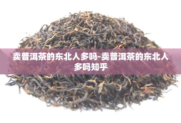 卖普洱茶的东北人多吗-卖普洱茶的东北人多吗知乎