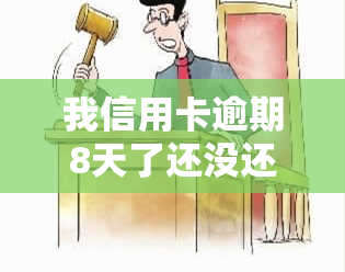 我信用卡逾期8天了还没还怎么办，信用卡逾期8天未还款，应该采取什么措？