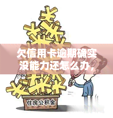 欠信用卡逾期确实没能力还怎么办，无能为力？信用卡逾期了该怎么办？