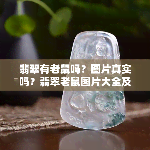 翡翠有老鼠吗？图片真实吗？翡翠老鼠图片大全及镶嵌展示