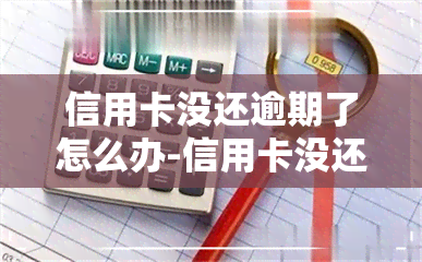 信用卡没还逾期了怎么办-信用卡没还逾期了怎么办能坐飞机不