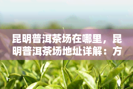 昆明普洱茶场在哪里，昆明普洱茶场地址详解：方便您的茶叶采购！