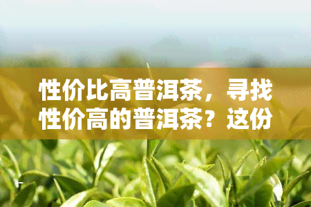 性价比高普洱茶，寻找性价高的普洱茶？这份购买指南帮你挑到满意的好茶！