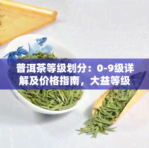 普洱茶等级划分：0-9级详解及价格指南，大益等级标准一览