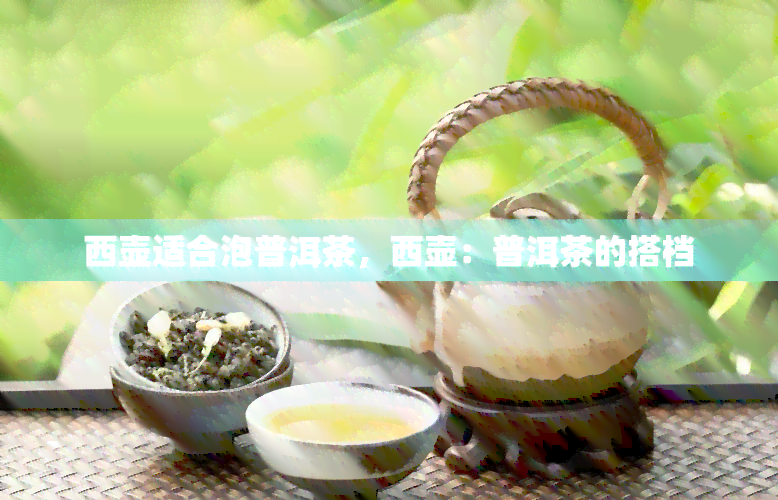 西壶适合泡普洱茶，西壶：普洱茶的搭档