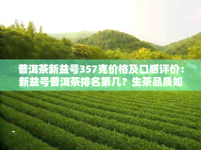 普洱茶新益号357克价格及口感评价：新益号普洱茶排名第几？生茶品质如何？