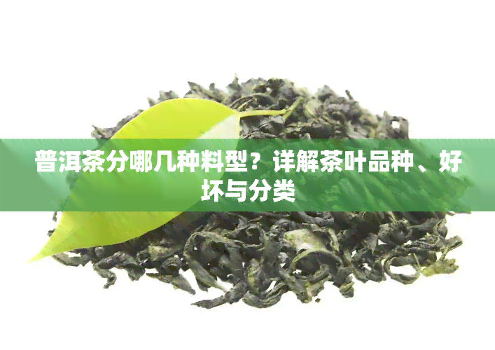 普洱茶分哪几种料型？详解茶叶品种、好坏与分类