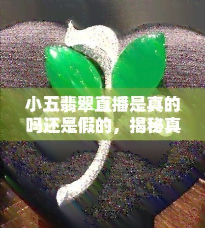 小五翡翠直播是真的吗还是假的，揭秘真相：小五翡翠直播是真的还是假的？