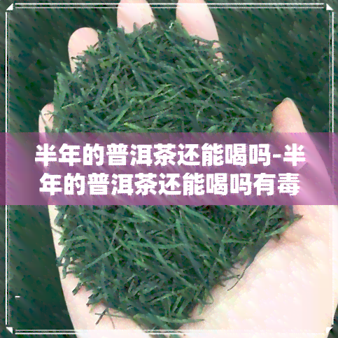 半年的普洱茶还能喝吗-半年的普洱茶还能喝吗有吗