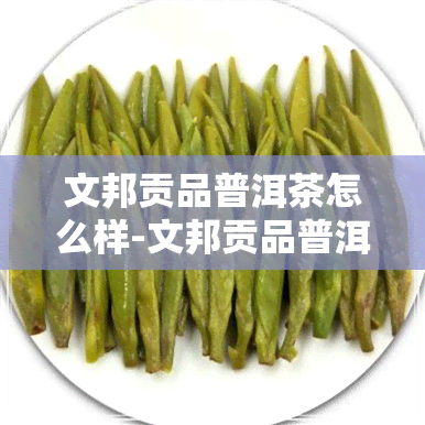 文邦贡品普洱茶怎么样-文邦贡品普洱茶怎么样好喝吗