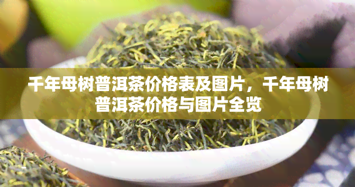 千年母树普洱茶价格表及图片，千年母树普洱茶价格与图片全览