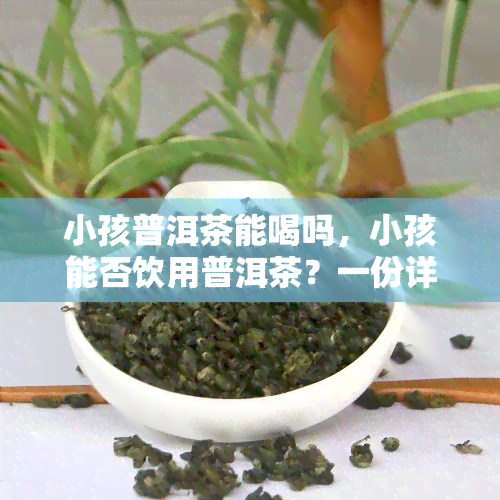 小孩普洱茶能喝吗，小孩能否饮用普洱茶？一份详细的指南